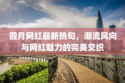 四月网红最新热句，潮流风向与网红魅力的完美交织