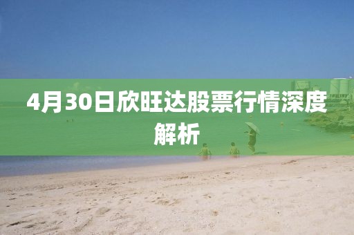 4月30日欣旺达股票行情深度解析
