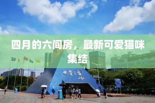 四月的六间房，最新可爱猫咪集结