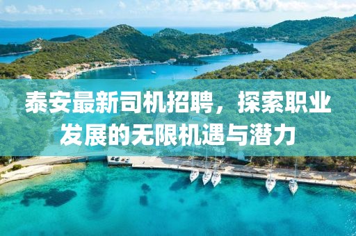 泰安最新司机招聘，探索职业发展的无限机遇与潜力