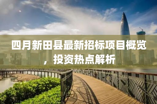 四月新田县最新招标项目概览，投资热点解析