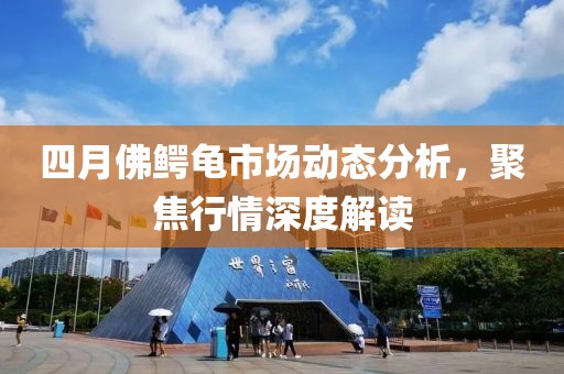 四月佛鳄龟市场动态分析，聚焦行情深度解读