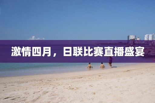 2025年4月 第4页
