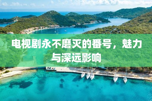 电视剧永不磨灭的番号，魅力与深远影响