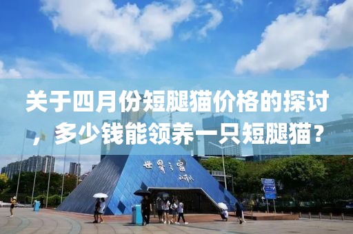 关于四月份短腿猫价格的探讨，多少钱能领养一只短腿猫？