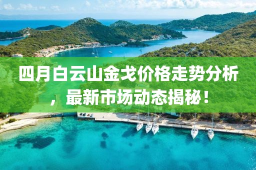 四月白云山金戈价格走势分析，最新市场动态揭秘！