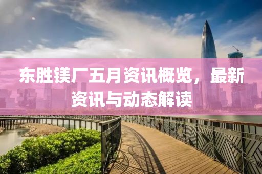 东胜镁厂五月资讯概览，最新资讯与动态解读