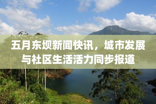 五月东坝新闻快讯，城市发展与社区生活活力同步报道