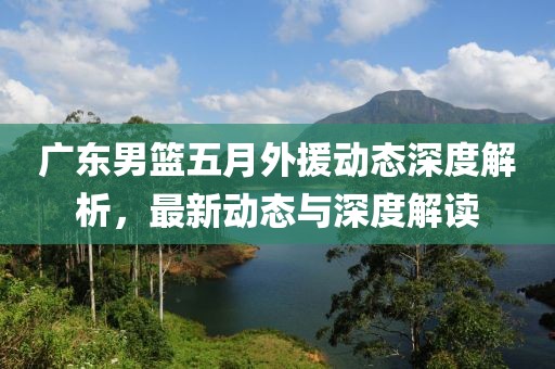 广东男篮五月外援动态深度解析，最新动态与深度解读