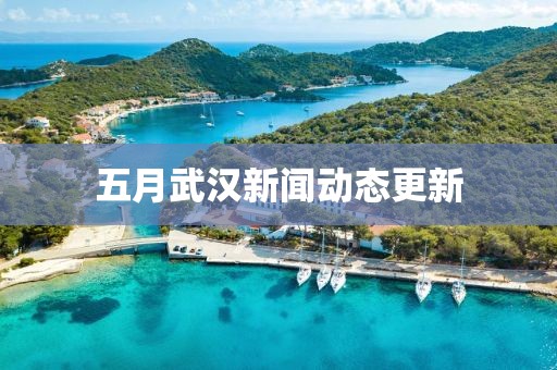 五月武汉新闻动态更新