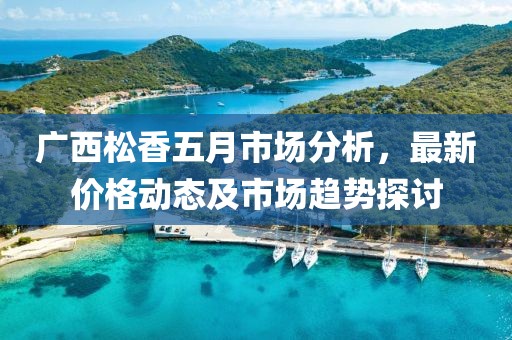 广西松香五月市场分析，最新价格动态及市场趋势探讨