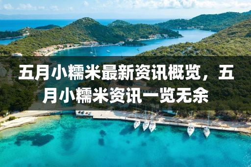 2025年5月5日 第2页