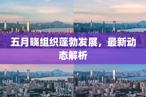 五月晓组织蓬勃发展，最新动态解析