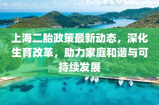 上海二胎政策最新动态，深化生育改革，助力家庭和谐与可持续发展