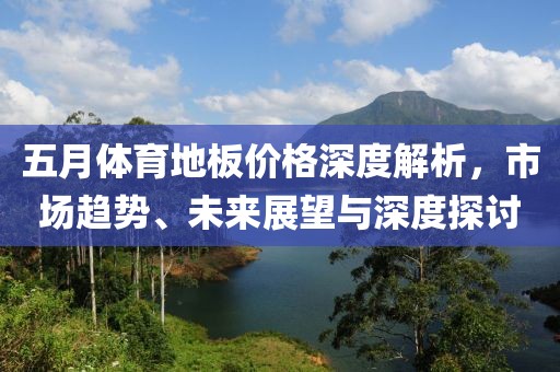 五月体育地板价格深度解析，市场趋势、未来展望与深度探讨