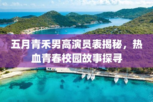 五月青禾男高演员表揭秘，热血青春校园故事探寻