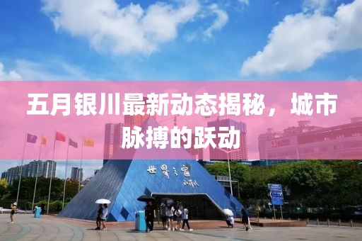 五月银川最新动态揭秘，城市脉搏的跃动