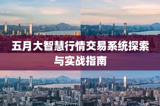 五月大智慧行情交易系统探索与实战指南