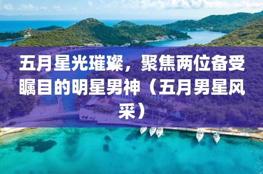 五月星光璀璨，聚焦两位备受瞩目的明星男神（五月男星风采）