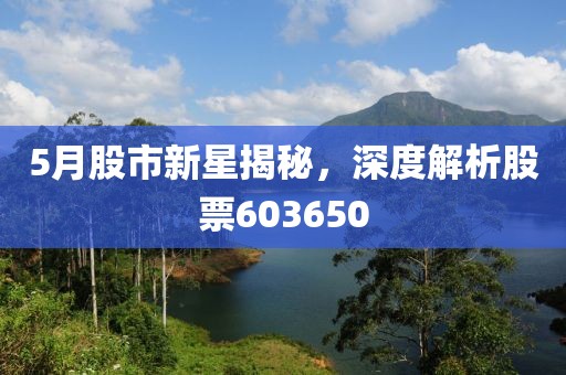 5月股市新星揭秘，深度解析股票603650