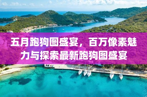 五月跑狗图盛宴，百万像素魅力与探索最新跑狗图盛宴