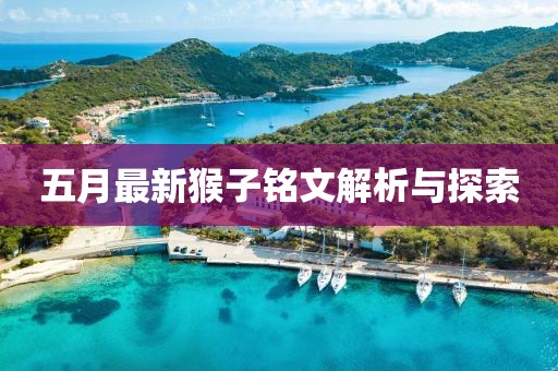 五月最新猴子铭文解析与探索