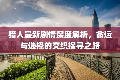 猎人最新剧情深度解析，命运与选择的交织探寻之路