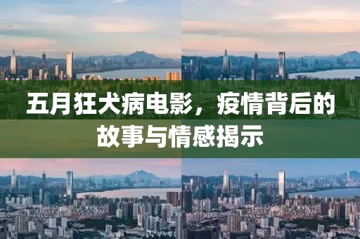 五月狂犬病电影，疫情背后的故事与情感揭示