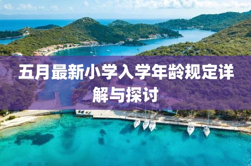 五月最新小学入学年龄规定详解与探讨