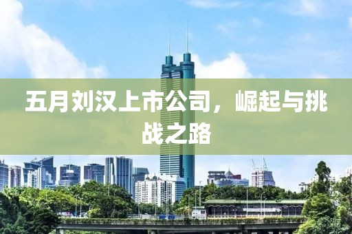 五月刘汉上市公司，崛起与挑战之路