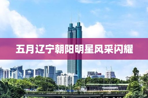 五月辽宁朝阳明星风采闪耀