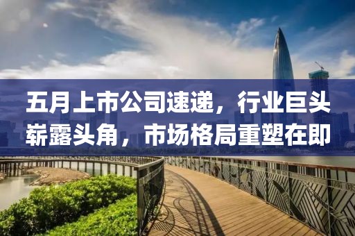 五月上市公司速递，行业巨头崭露头角，市场格局重塑在即