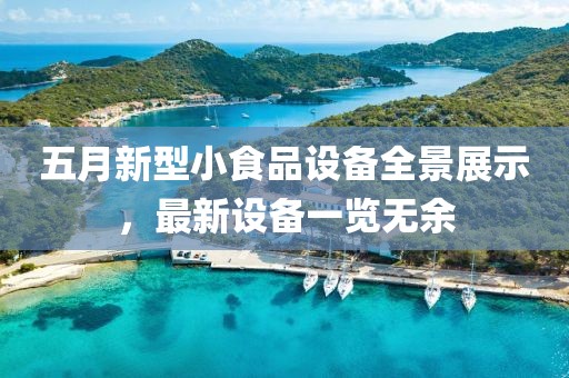 五月新型小食品设备全景展示，最新设备一览无余