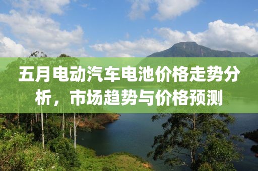 五月电动汽车电池价格走势分析，市场趋势与价格预测
