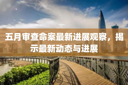 五月审查命案最新进展观察，揭示最新动态与进展