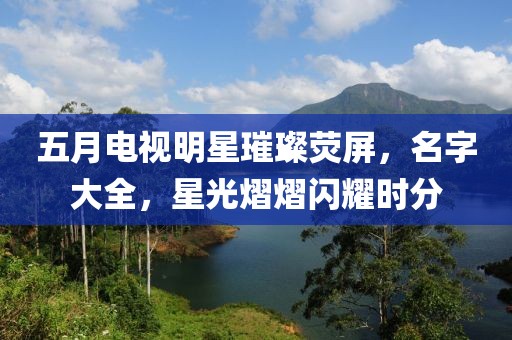 五月电视明星璀璨荧屏，名字大全，星光熠熠闪耀时分