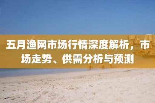 五月渔网市场行情深度解析，市场走势、供需分析与预测