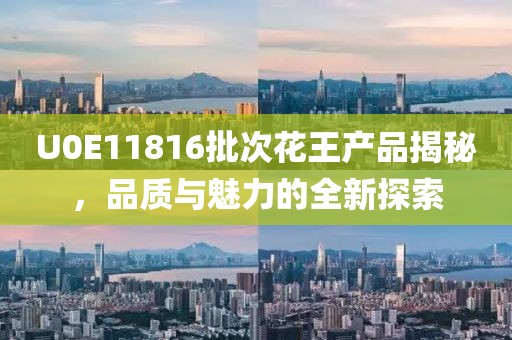 U0E11816批次花王产品揭秘，品质与魅力的全新探索