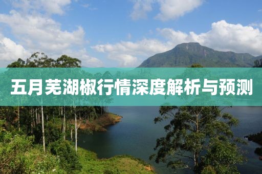 巴黎醉