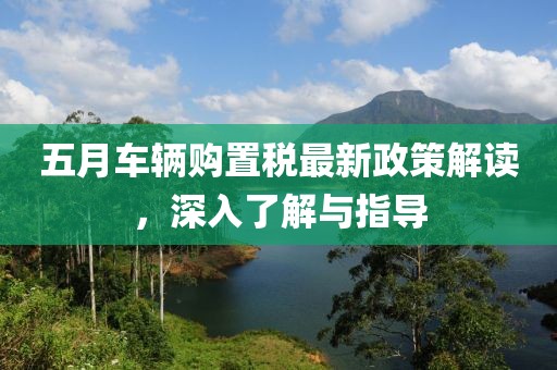 五月车辆购置税最新政策解读，深入了解与指导