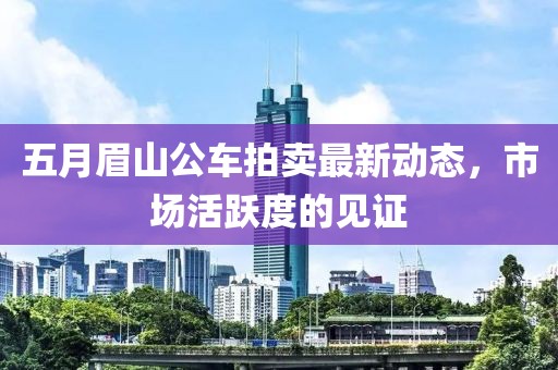 五月眉山公车拍卖最新动态，市场活跃度的见证