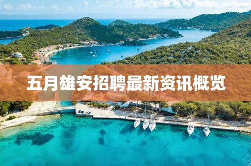 五月雄安招聘最新资讯概览