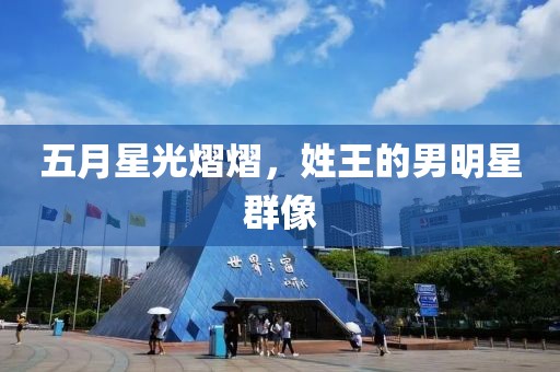 五月星光熠熠，姓王的男明星群像