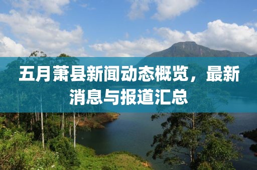 五月萧县新闻动态概览，最新消息与报道汇总