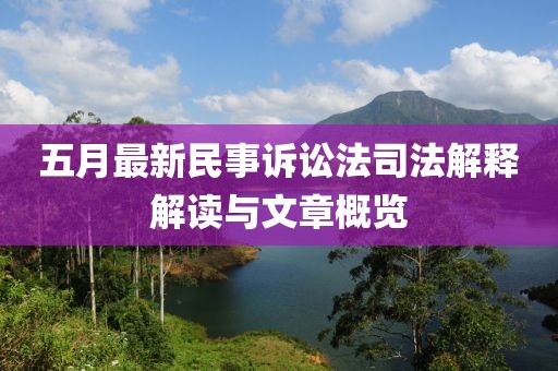 五月最新民事诉讼法司法解释解读与文章概览