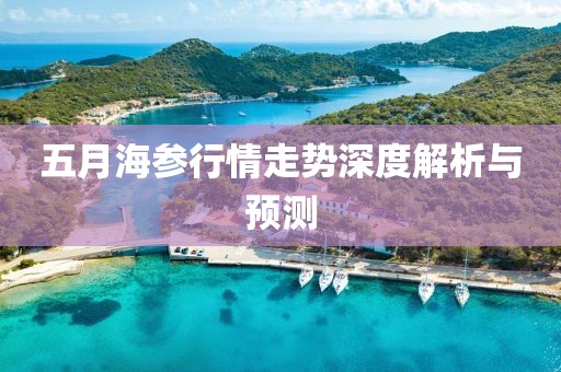 五月海参行情走势深度解析与预测