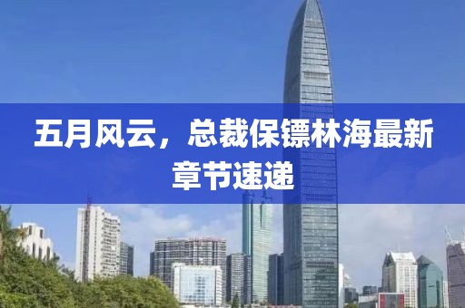 五月风云，总裁保镖林海最新章节速递