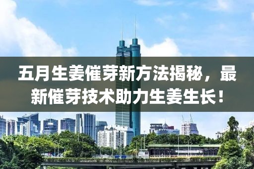 五月生姜催芽新方法揭秘，最新催芽技术助力生姜生长！