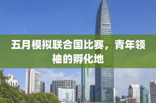 五月模拟联合国比赛，青年领袖的孵化地