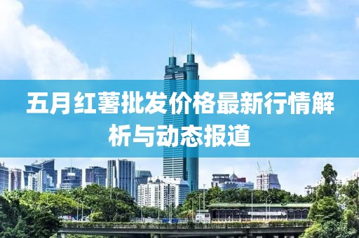 五月红薯批发价格最新行情解析与动态报道